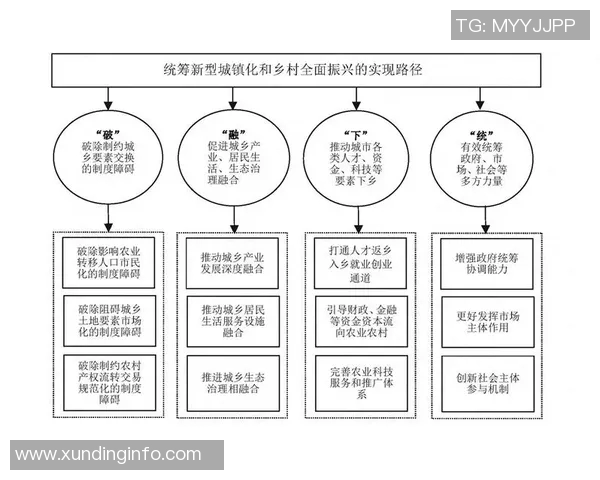 选举制度改革与公民参与的深度探讨:提升民主效率与透明度的路径分析